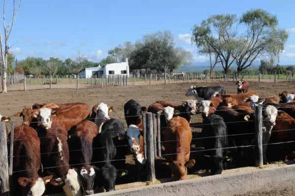 El Gobierno ofrece alícuota cero a la ganadería