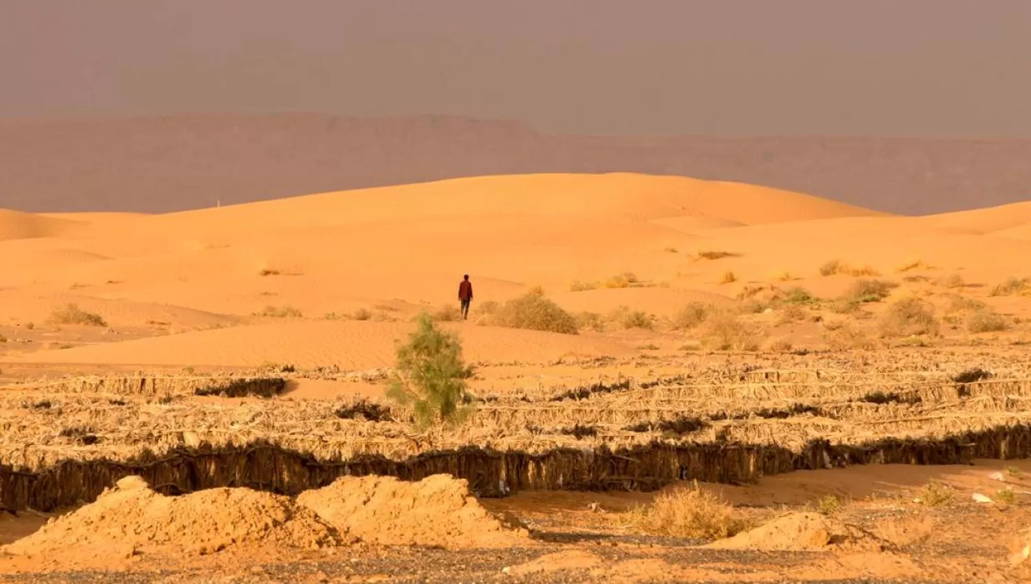 DESIERTO DE SÁHARA. FOTO TOMADA DE UNIVISION.COM