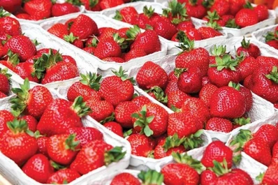 En el Poder Ejecutivo reconocen la problemática