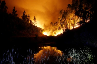 Dramático: un incendio forestal dejó 57 muertos en Portugal