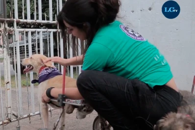Hacen lo que sea para que ningún perro sufra en la calle