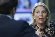 Unos 30 diputados son precandidatos en las primarias de agosto