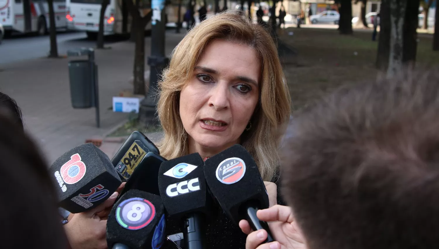 La senadora, en el acto radical. FOTO PRENSA DE SILVIA ELIAS DE PEREZ. 