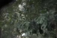 La gran ola del Bicentenario sigue trayendo turistas hacia tierras tucumanas