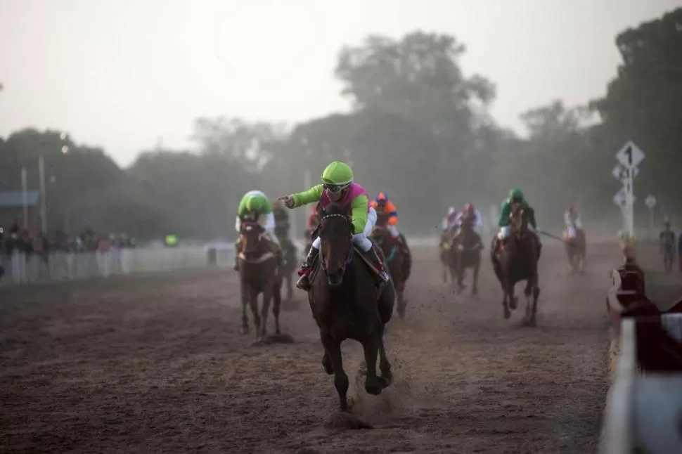 FONDISTA. Sir Melody será uno de los animadores en el clásico de 2.000 metros. la gaceta / foto de Inés Quinteros Orio