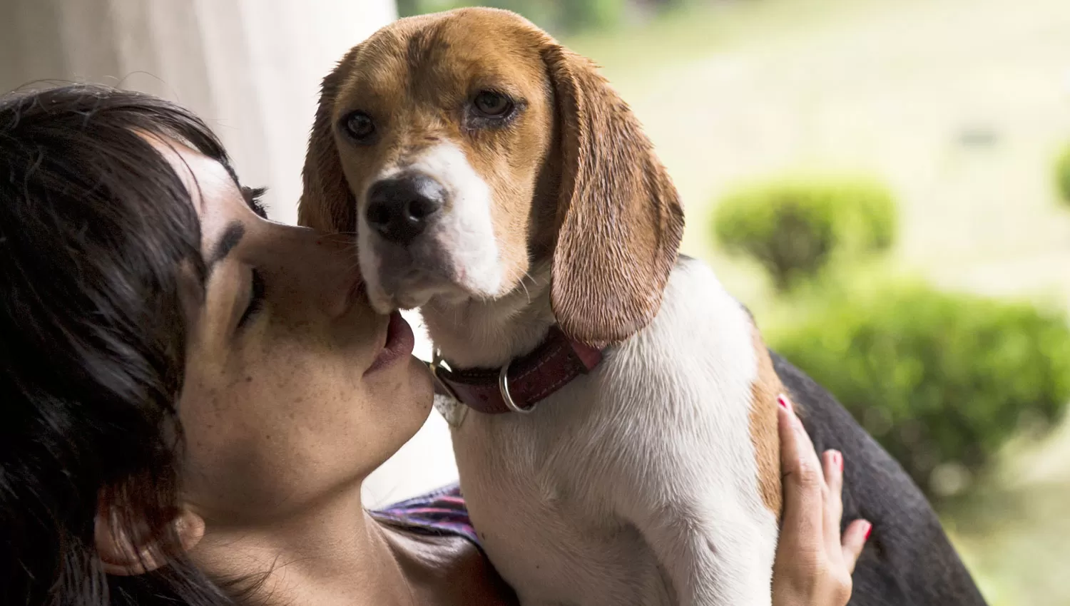 MASCOTAS. LA GACETA/ ARCHIVO