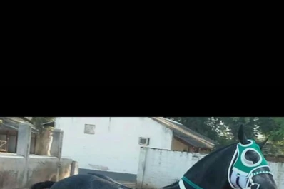 El clásico de los cuartos de milla será de “hacha y tiza”