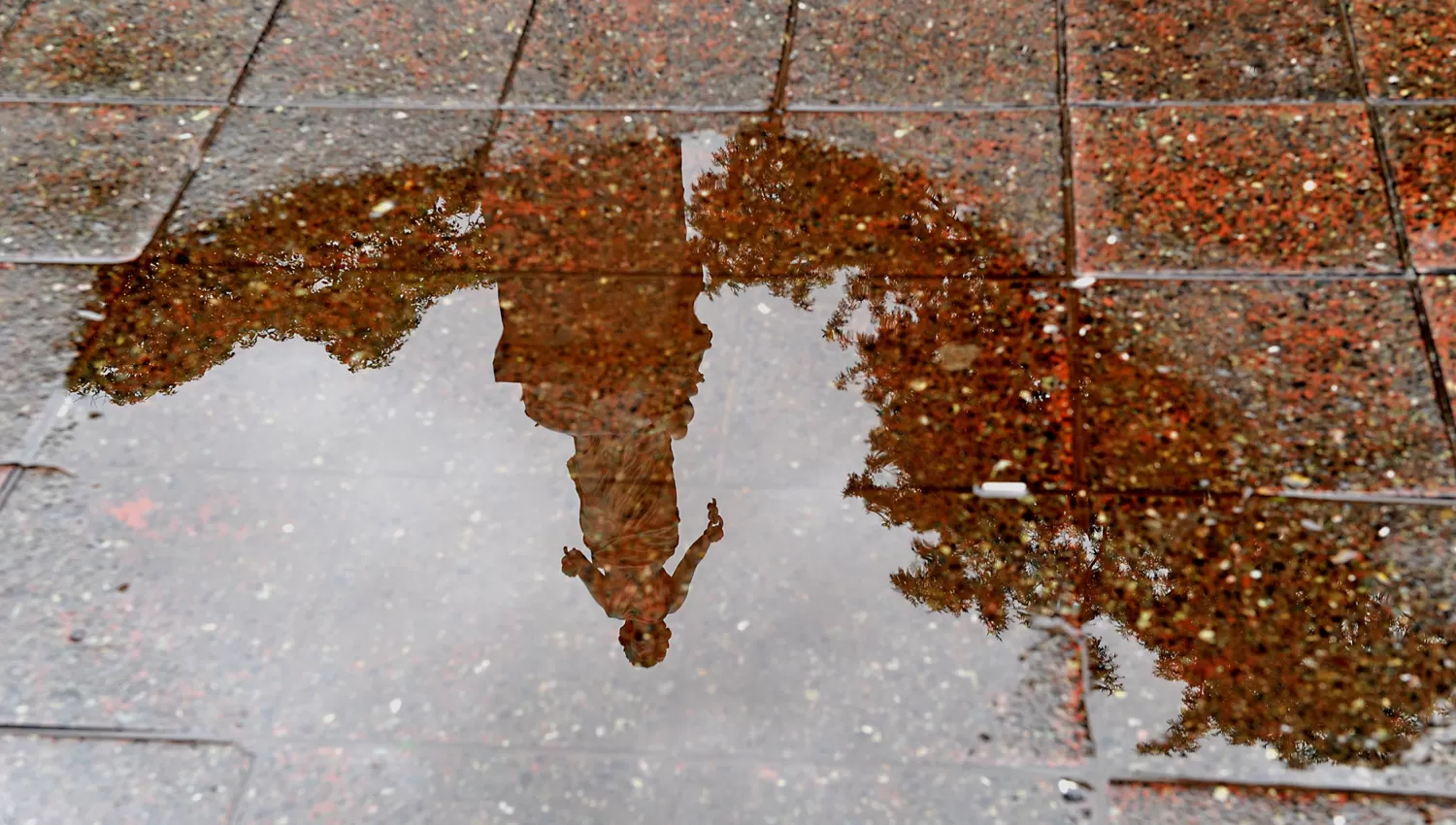 ARCHIVO LA GACETA / FOTO DE FRANCO VERA