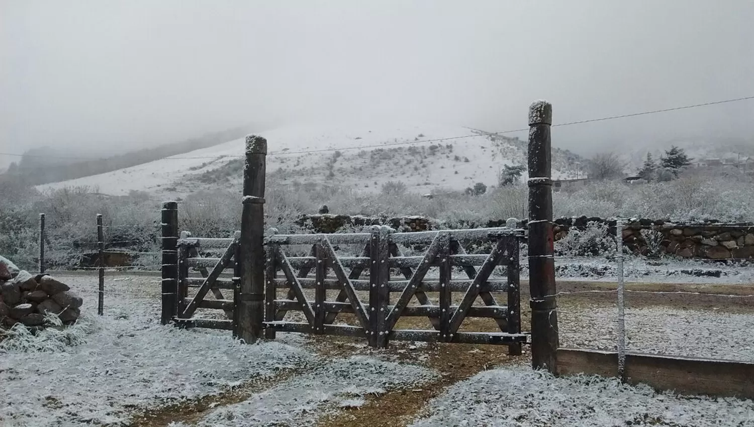 TODO BLANCO. En Tafí del Valle todo se llenó de garrotillo durante la madrugada. FOTO GENTILEZA DE ARIEL LAPETINA