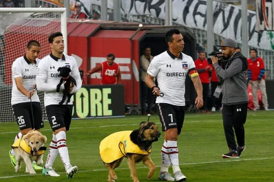 Video: salieron a la cancha con perros que buscan ser adoptados