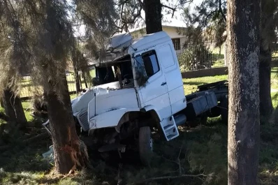 Perdió el control de su camión y chocó contra unos pinos
