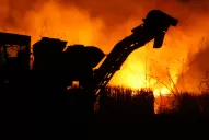 Quien sea descubierto quemando un campo de caña va a ser puesto a disposición de la Justicia