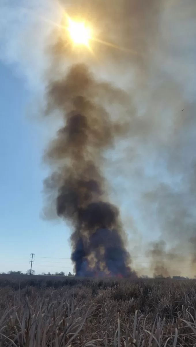 La quema de cañaverales no cesa en los campos tucumanos