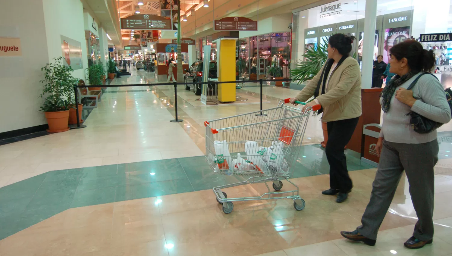 INTENTO DE ROBO EN SHOPPING. LA GACETA/ ARCHIVO