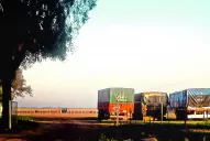 Indiferente a las Paso, la nación no suspenderá la asistencia social