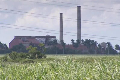 Buscan nuevas fuentes de energías alternativas