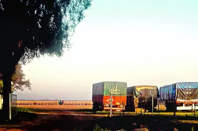 Indiferente a las Paso, la nación no suspenderá la asistencia social