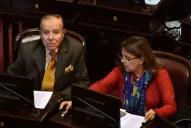 La Cámara Nacional Electoral decidió que Menem no puede ser precandidato a senador