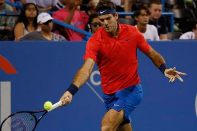Del Potro despachó a Isner y avanza en Montreal