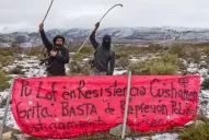 Qué es la RAM, el grupo de resistencia mapuche que preocupa al Gobierno nacional