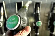 Tras autorizar el ingreso de los limones tucumanos, EEUU pone derechos arancelarios al biodiésel