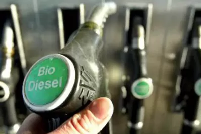 Tras autorizar el ingreso de los limones tucumanos, EEUU pone derechos arancelarios al biodiésel