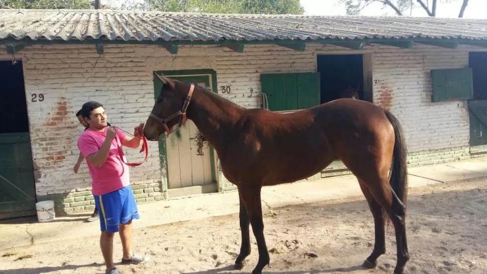  la gaceta / foto de carlos chirino