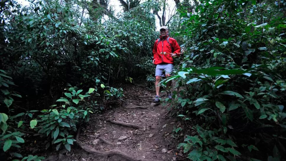 Luego de la llovizna, cómo estará el tiempo durante el fin de semana