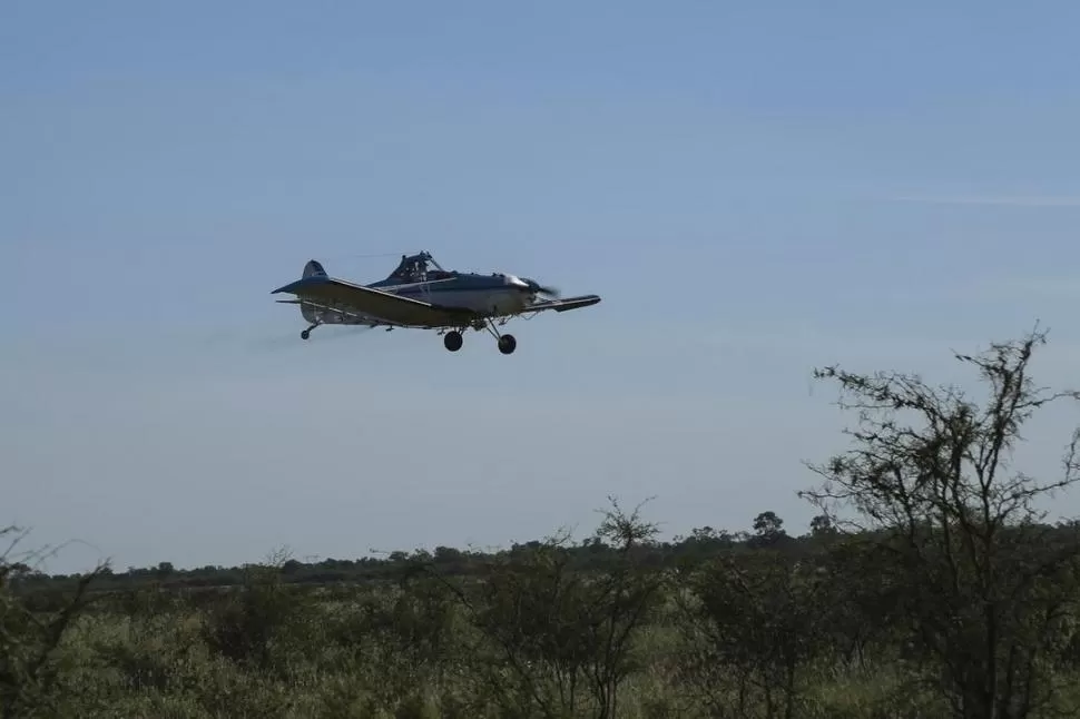 ATAQUE DESDE EL AIRE. Las aplicaciones aéreas con productor químicos se realizan una vez que se detecta que las langostas se asentaron en un campo.  