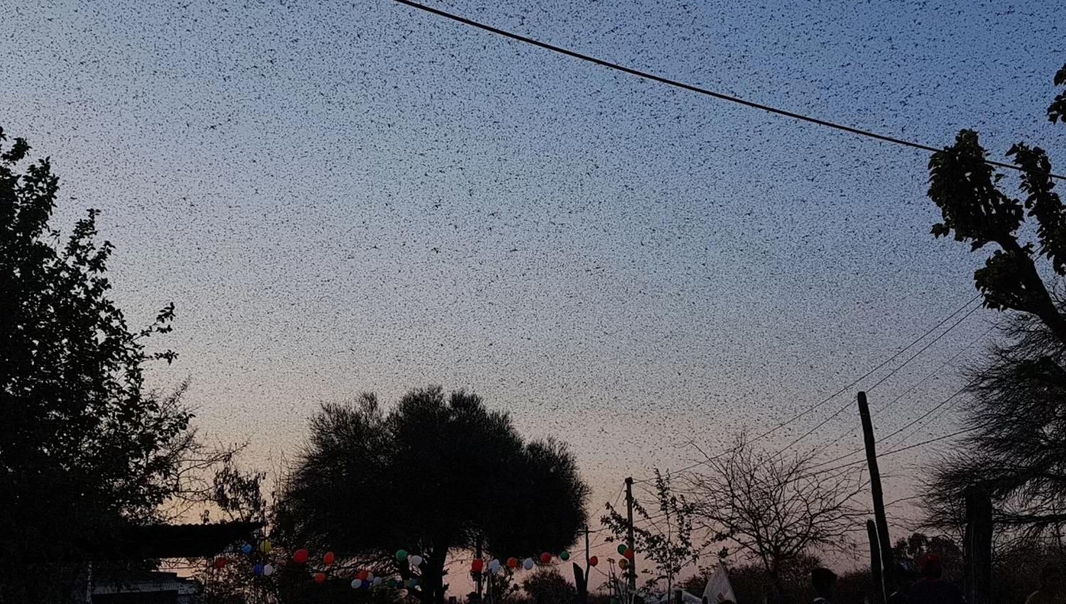 MANCHA NEGRA. El cielo se tiñó de oscuro cuando pasaron los miles de insectos. FOTO ENVIADA POR UN LECTOR