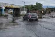 Alfaro busca 100.000 firmas para que se intervenga a la SAT