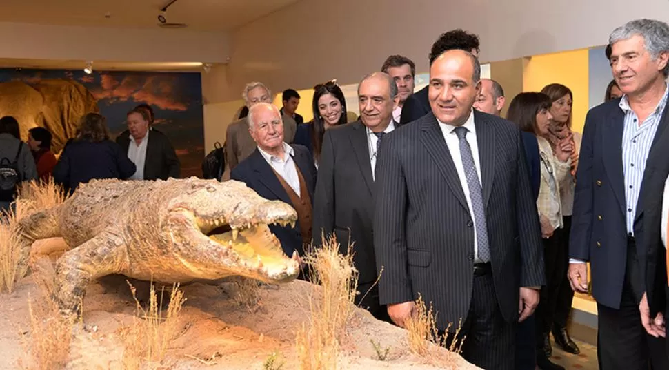 MUSEO MIGUEL LILLO. El gobernador Juan Manzur inauguró una nueva sala de exposición permamente con animales de África. secretaría de estado de comunicación pública
