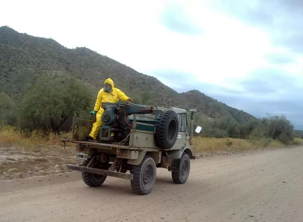 CONTRA LA PLAGA. Los camiones Unimog trabajan todo el día. 