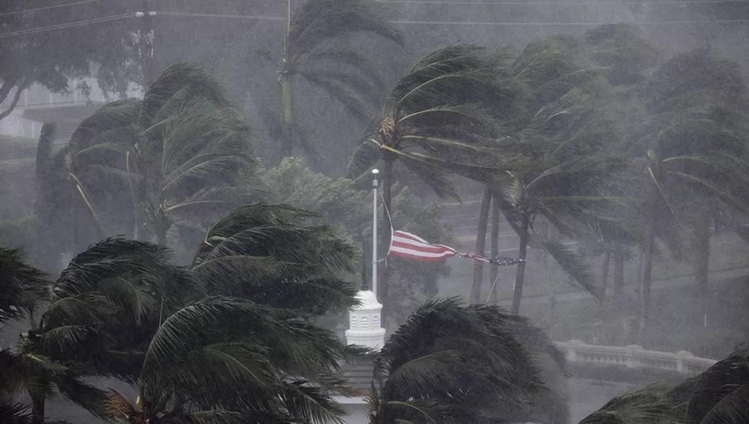 FOTO TOMADA DE CLARIN.COM