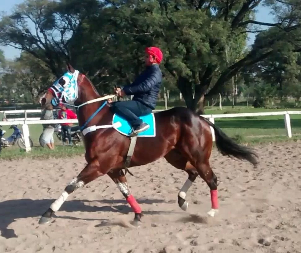 VELOCISTA. ER Franciscano será uno de los protagonistas del festival cuadrero. 