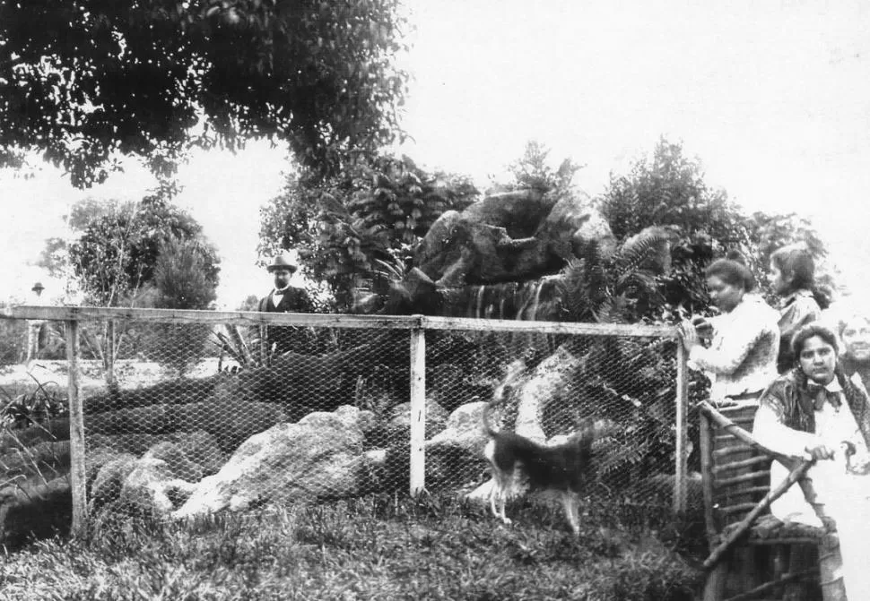 GRUTA DE LA PLAZA URQUIZA, 1904. En las últimas décadas del siglo XIX, la basura se depositaba en el paseo, que sólo existía de nombre. 