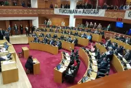 Legisladores rechazaron por unanimidad la ordenanza cordobesa contra el azúcar