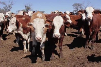 En Agrochacra NOA 2017 hablará de malezas y ganadería