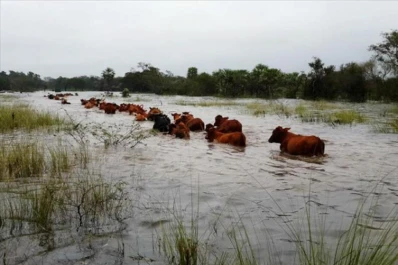 Apuran una ley de seguros por las pérdidas climáticas