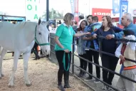 La agenda de la Expo: los horarios, qué podés hacer y cuánto cuesta la entrada