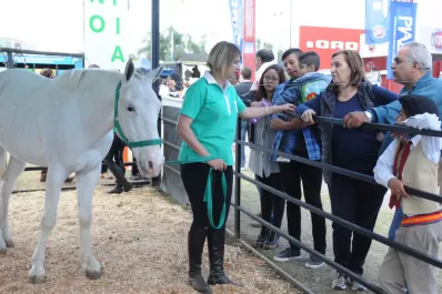 La agenda de la Expo: los horarios, qué podés hacer y cuánto cuesta la entrada