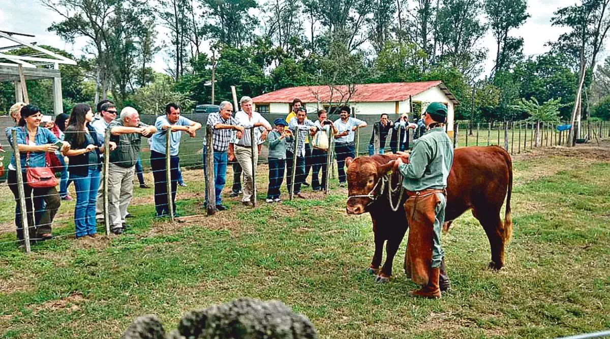 “Estamos consumiendo animales muy chicos; debemos cambiar”