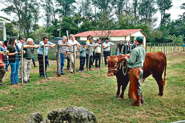 “Estamos consumiendo animales muy chicos; debemos cambiar”