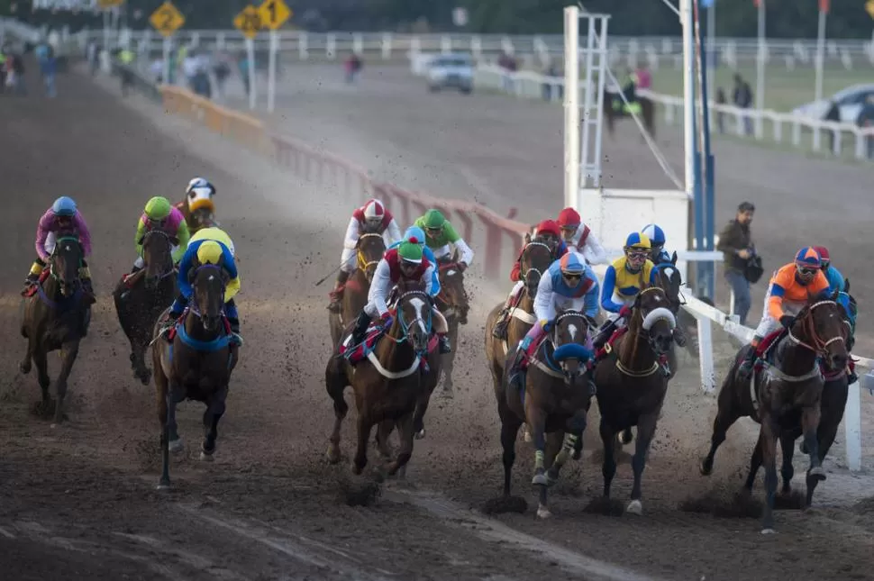 CORRERÁ POR TERCERA VEZ EL “BATALLA”. El alazán De Cero será uno de los protagonistas en el Gran Premio del domingo. la gaceta / foto de DIEGO ARáOZ