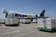 La primera carga de arándanos viaja con destino a Miami