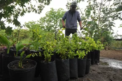El jardín botánico que Concepción tanto necesita