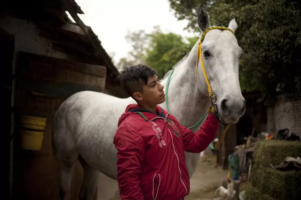 EQUIPO. Abregú y Binary Code están listos para dar pelea en la carrera central que se disputará en el circo hípico tucumano. la gaceta / foto de Inés Quinteros Orio