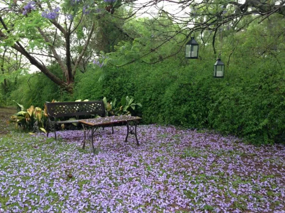 UN RINCÓN PARA DISFRUTAR LA NATURALEZA. La socias del Garden Club también hacen paisajismo.  