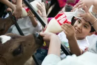 La Expo Tucumán se extenderá un día más