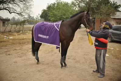 Best Seattle intentará ser una “estrella”